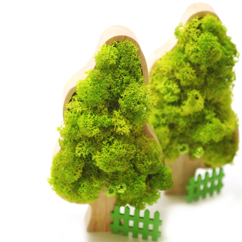 이미지 상세보기