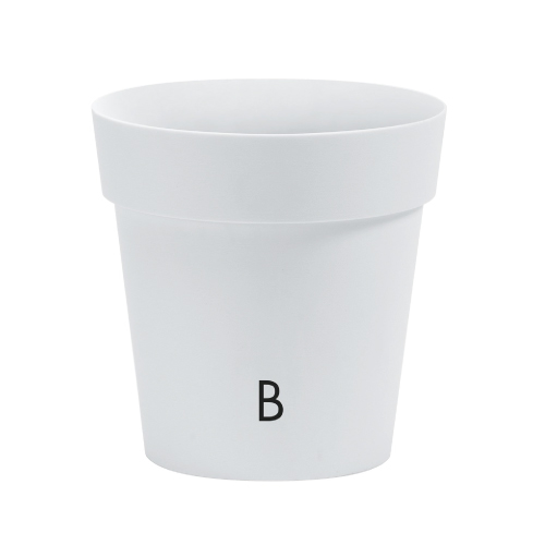 이미지 상세보기